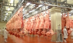 食肉工場.jpg